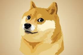 숏매니아 프로필